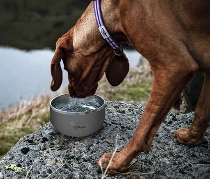 Long Paws Lunar Dog Bowls 1.8L Stainless Double-Wall Metal for Food & Water