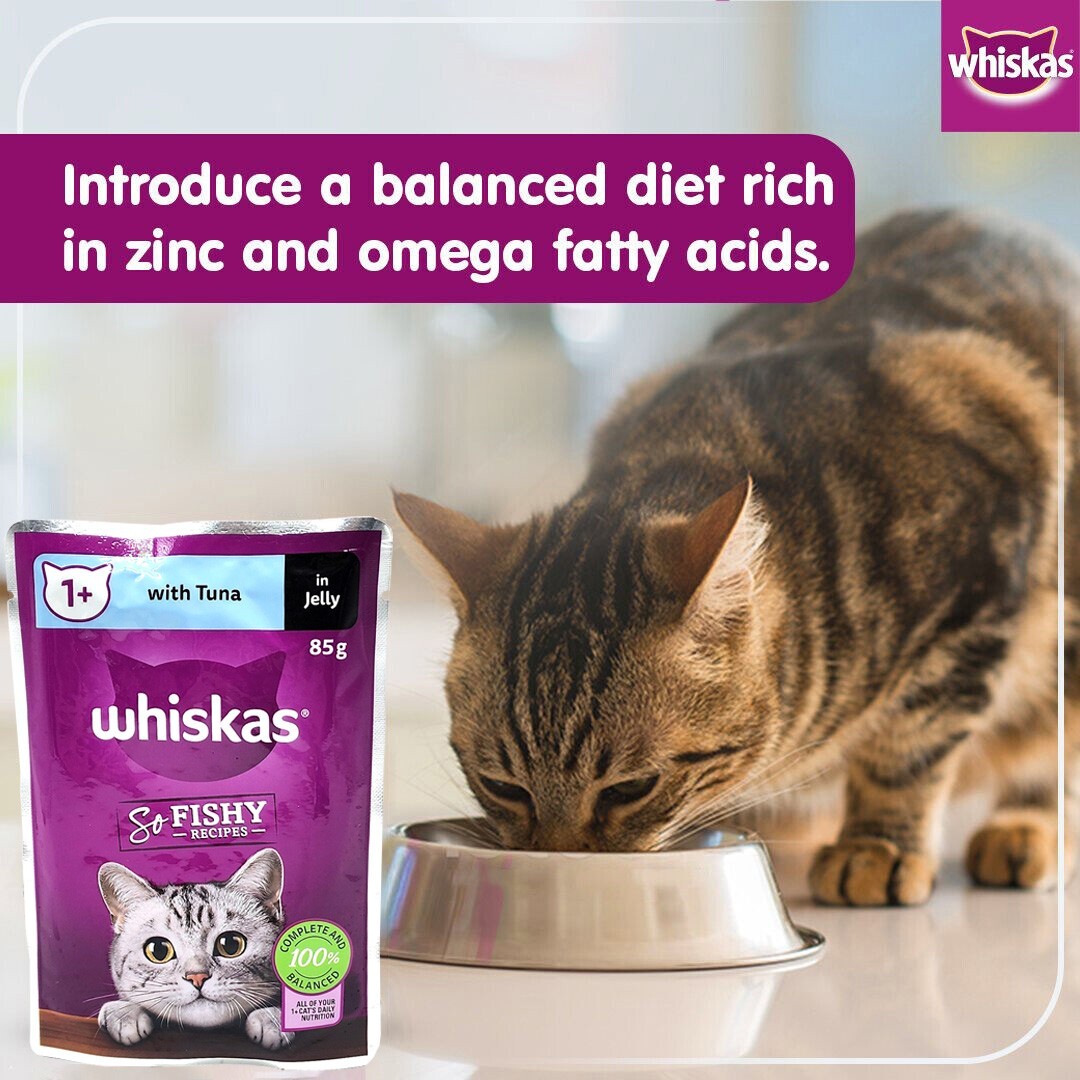 60 x 85g Whiskas Wet Cat Food Ocean Fishy Recipes Tuna Salmon Mackerel Real Fish