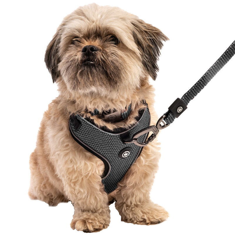 Silver Paw 3-in-1 Dog Collar, Leash & Harness Set - UV & Cold Alerts, Adjustable