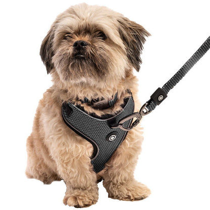 Silver Paw 3-in-1 Dog Collar, Leash & Harness Set - UV & Cold Alerts, Adjustable