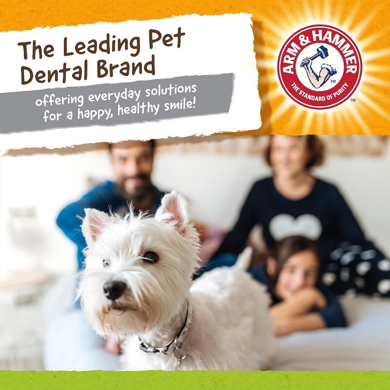 Arm & Hammer 4 Pack Nubbies Dental Chew Toy for Dogs Bone, Orion, TriBone, T-Rex