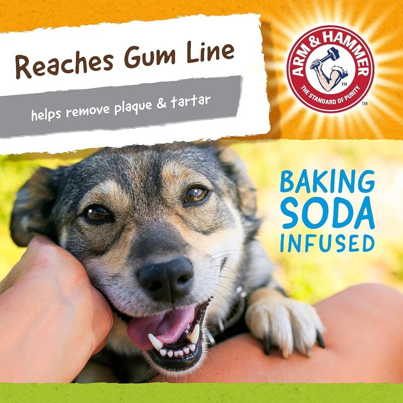 Arm & Hammer 4 Pack Nubbies Dental Chew Toy for Dogs Bone, Orion, TriBone, T-Rex