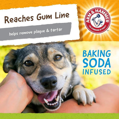 Arm & Hammer 4 Pack Nubbies Dental Chew Toy for Dogs Bone, Orion, TriBone, T-Rex
