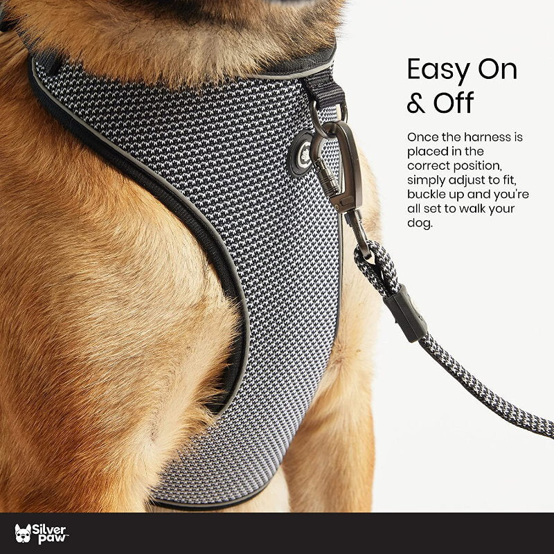 Silver Paw 3-in-1 Dog Collar, Leash & Harness Set - UV & Cold Alerts, Adjustable