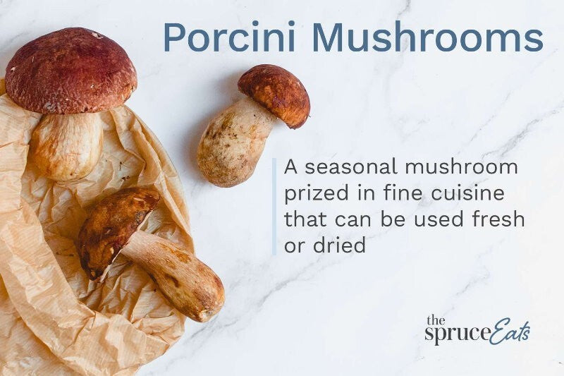 The Wild Mushroom Co Dried Porcini Mushroom 150g Packed in France - Express Post