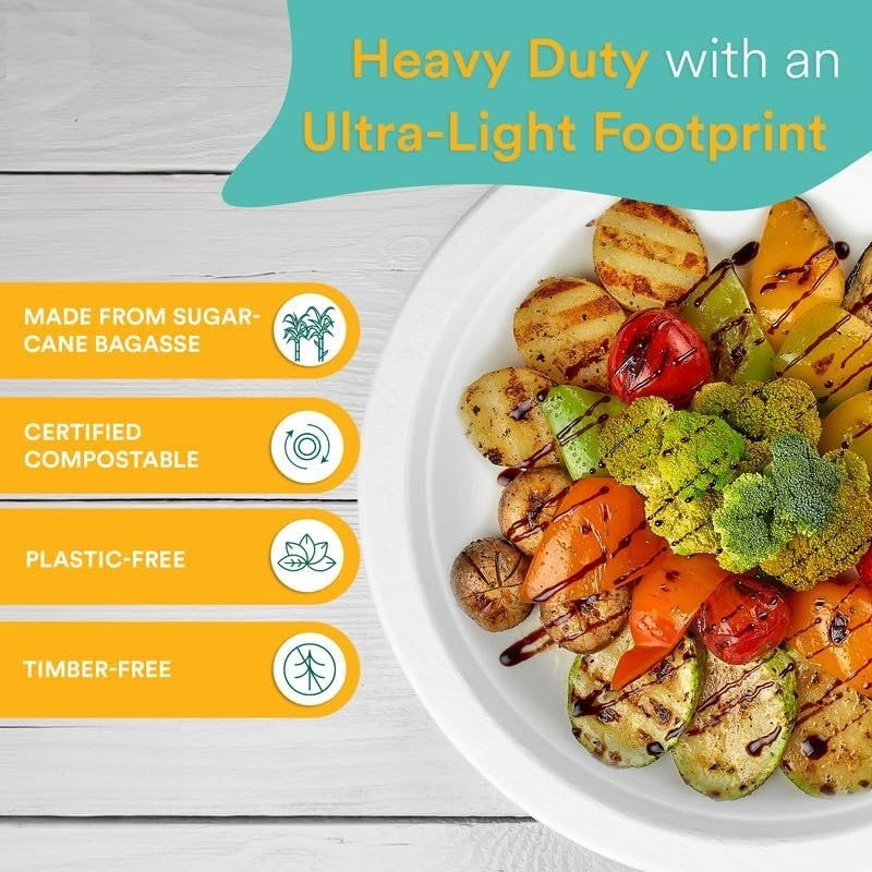 iECO 120-Pack 10" (25cm) Compostable Disposable Bagasse Plates Heavy Duty ECO