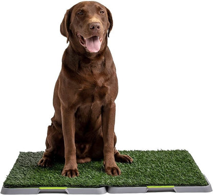 Silver Paw XL Potty Patch Dog Potty Reusable Training Toilet Grass Pee Pad Potty