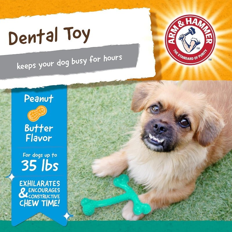 Arm & Hammer 4 Pack Nubbies Dental Chew Toy for Dogs Bone, Orion, TriBone, T-Rex