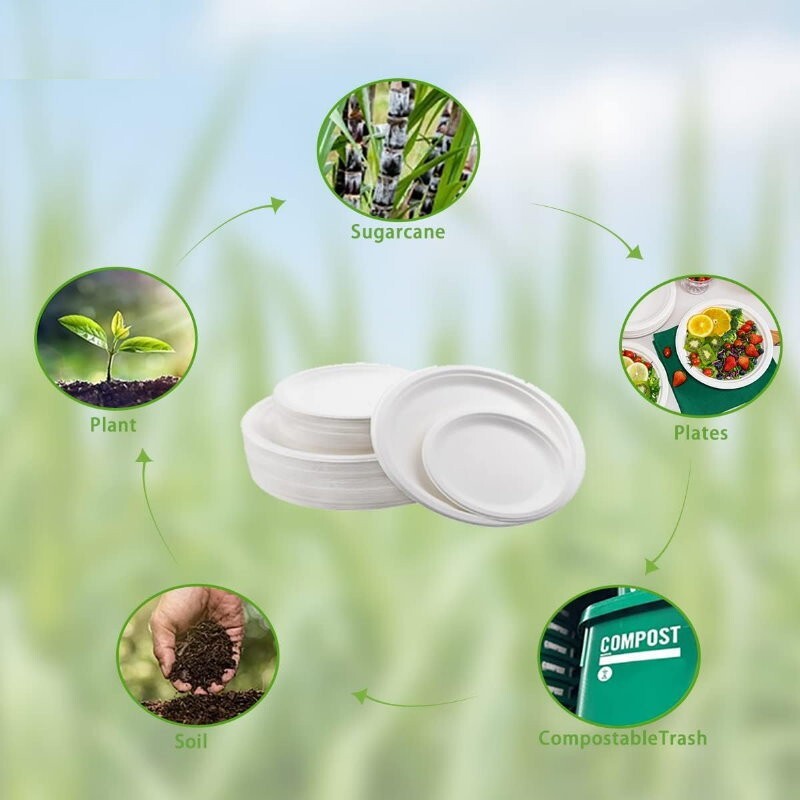 iECO 150-Pack 7" (18cm) Round White Bagasse Disposable Paper Plates Compostable
