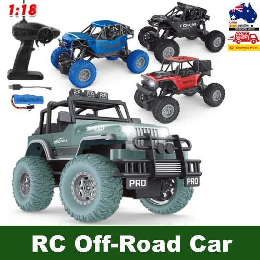 MGRC RTR 1/18 Scale 2.4G RWD RC Off-Road Car 2WD High Speed w/ LED Lights, Alloy
