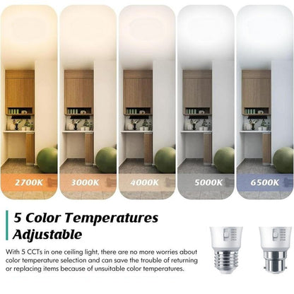 Feit Electric 6 Pack 5-Colour Dimmable LED Light Bulbs 9W 810 Lumens E27 or B22