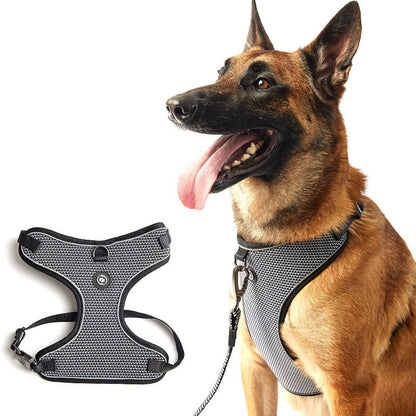Silver Paw 3-in-1 Dog Collar, Leash & Harness Set - UV & Cold Alerts, Adjustable