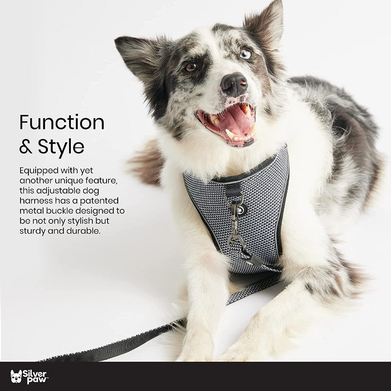 Silver Paw 3-in-1 Dog Collar, Leash & Harness Set - UV & Cold Alerts, Adjustable