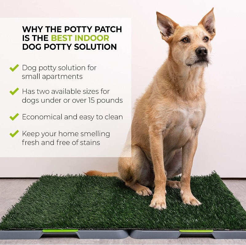 Silver Paw XL Potty Patch Dog Potty Reusable Training Toilet Grass Pee Pad Potty