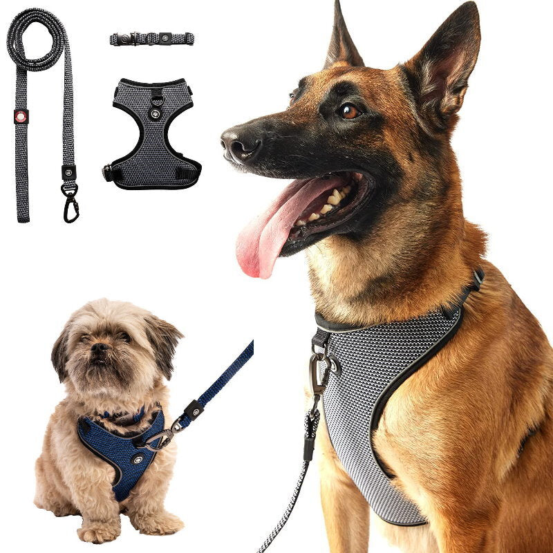 Silver Paw 3-in-1 Dog Collar, Leash & Harness Set - UV & Cold Alerts, Adjustable