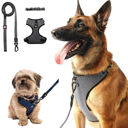 Silver Paw 3-in-1 Dog Collar, Leash & Harness Set - UV & Cold Alerts, Adjustable