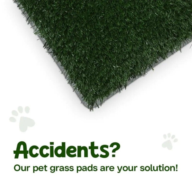 Silver Paw XL Potty Patch Dog Potty Reusable Training Toilet Grass Pee Pad Potty