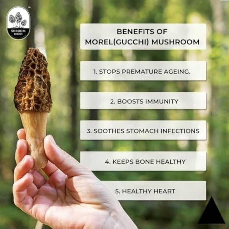 Shan Ye Xiao Shi Handpicked Dried Morel Mushroom Gucchi Morchella Pinecone 250g
