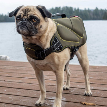 Silver Paw Neoprene Dog Life Jacket Vest with Handle UV Alert Safety Flotation