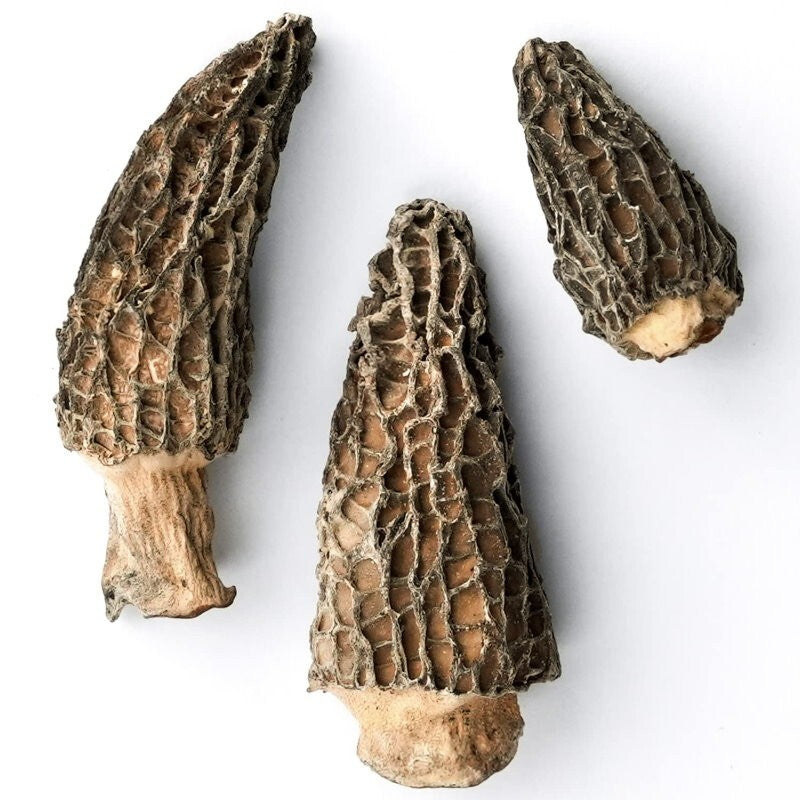 Shan Ye Xiao Shi Handpicked Dried Morel Mushroom Gucchi Morchella Pinecone 250g