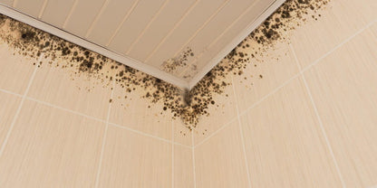 Exit Mould 500ml Mould Remover Trigger Spray - Kill Mould and Germs, Cleaning