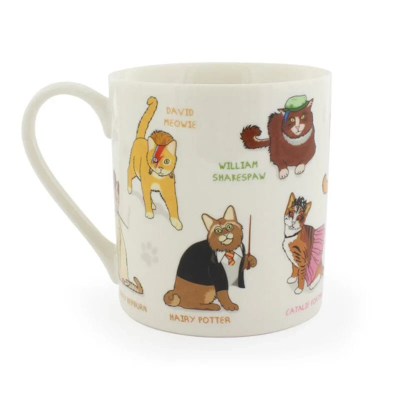 Celebri Cat Novelty Ceramic Novety Coffee Mug Gift Katy Purry Hairy Potter 350mL
