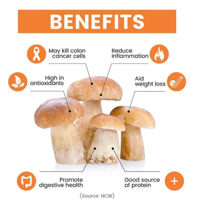 The Wild Mushroom Co Dried Porcini Mushroom 150g Packed in France - Express Post