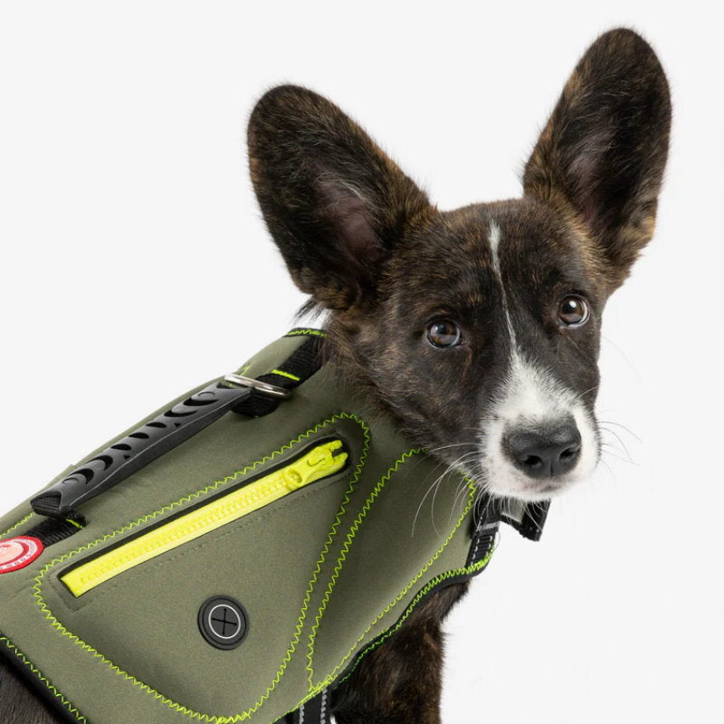 Silver Paw Neoprene Dog Life Jacket Vest with Handle UV Alert Safety Flotation