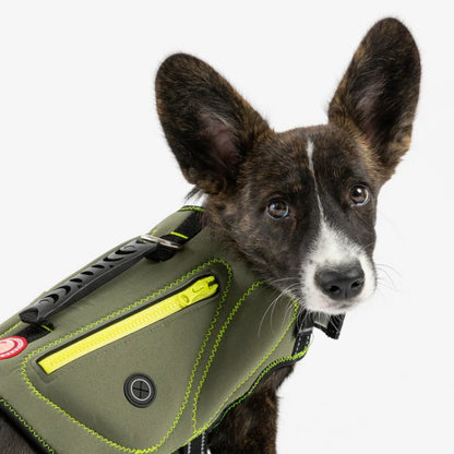 Silver Paw Neoprene Dog Life Jacket Vest with Handle UV Alert Safety Flotation