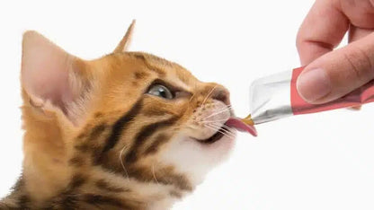 72 x 15g Catit Creamy Pet Lickable Cat Treat Snacks Tuna Chicken Shrimp & Salmon