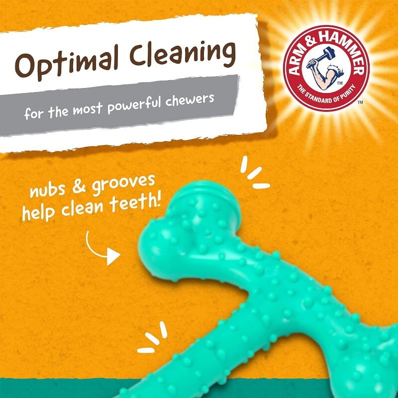 Arm & Hammer 4 Pack Nubbies Dental Chew Toy for Dogs Bone, Orion, TriBone, T-Rex