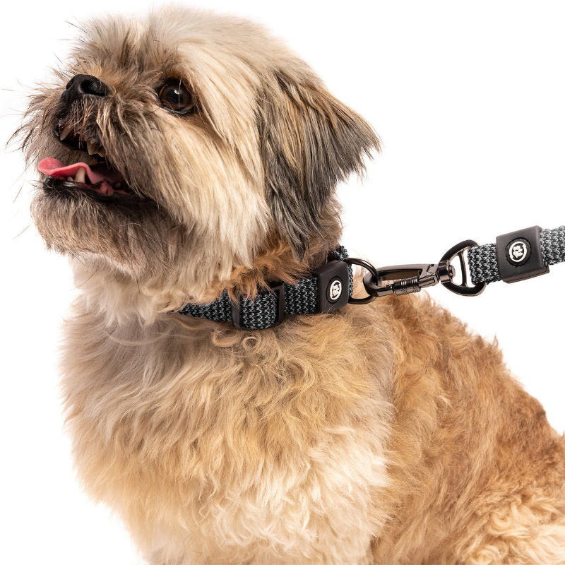 Silver Paw 3-in-1 Dog Collar, Leash & Harness Set - UV & Cold Alerts, Adjustable