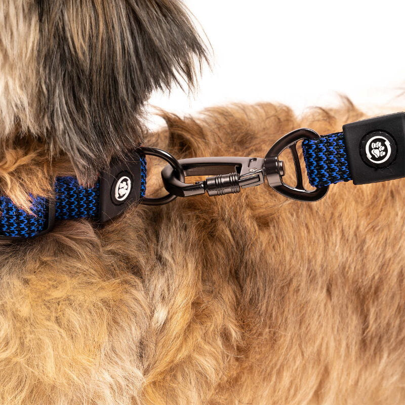 Silver Paw 3-in-1 Dog Collar, Leash & Harness Set - UV & Cold Alerts, Adjustable