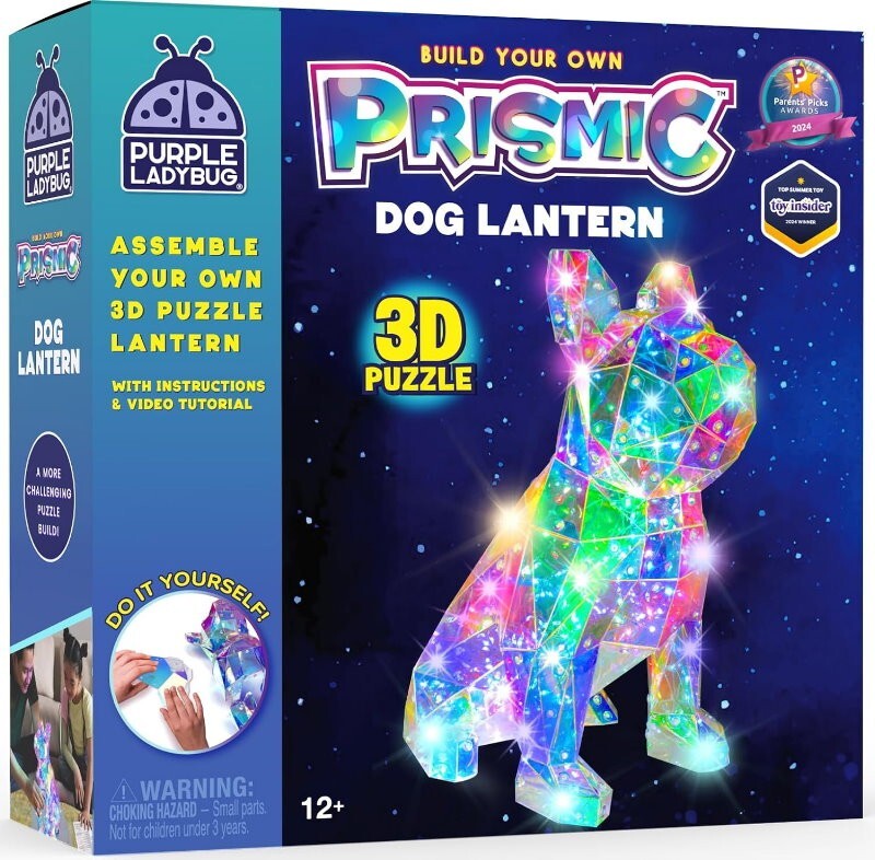 Purple Ladybug Prismic 3D Puzzle Night Light Tabletop Lantern DIY Arts & Crafts