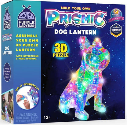 Purple Ladybug Prismic 3D Puzzle Night Light Tabletop Lantern DIY Arts & Crafts