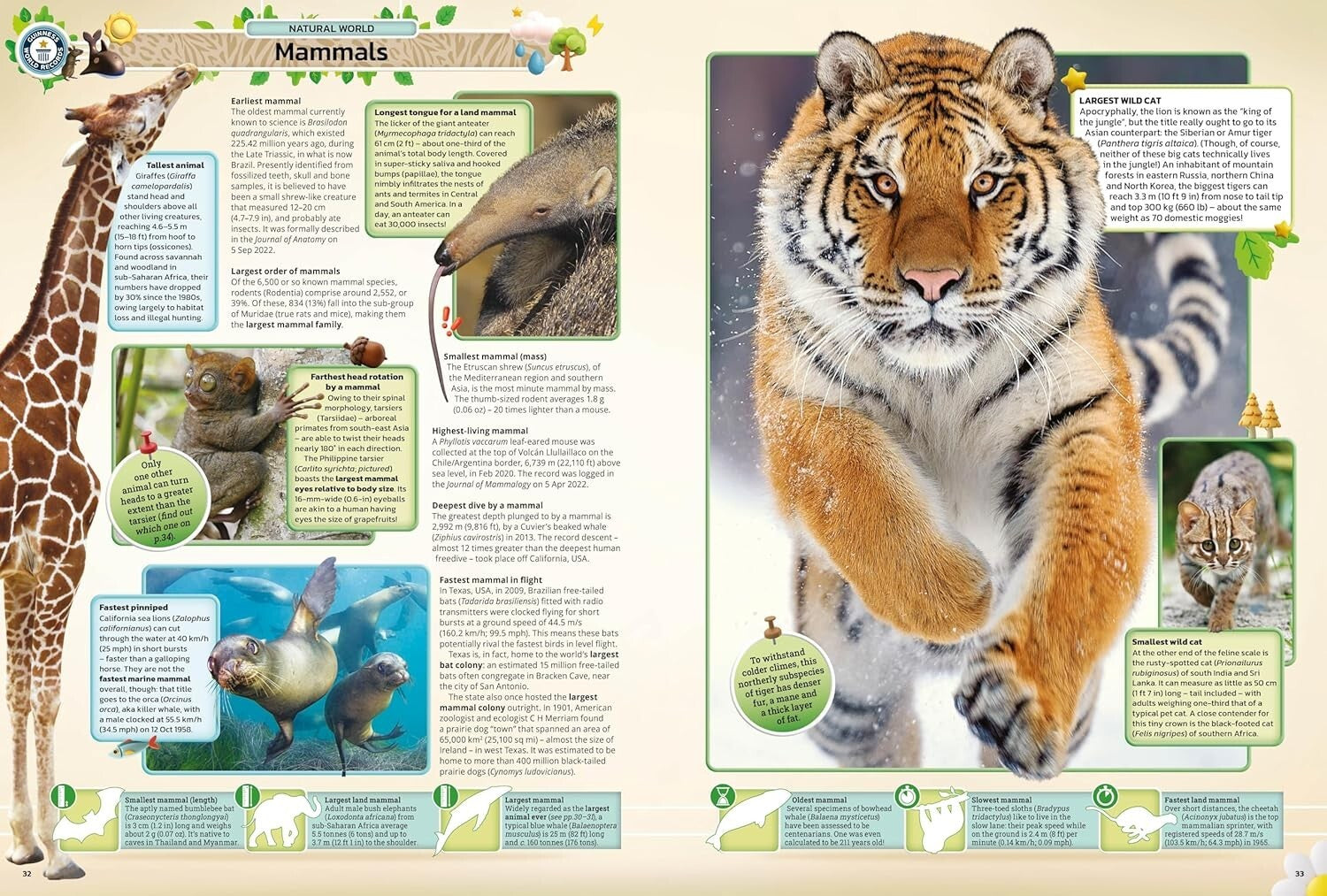 Guinness World Records 2025 Hardcover Education Statistic Book Gift Idea Present