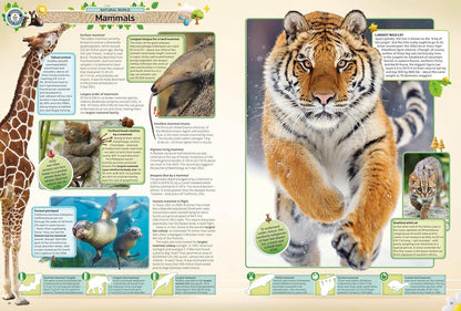 Guinness World Records 2025 Hardcover Education Statistic Book Gift Idea Present
