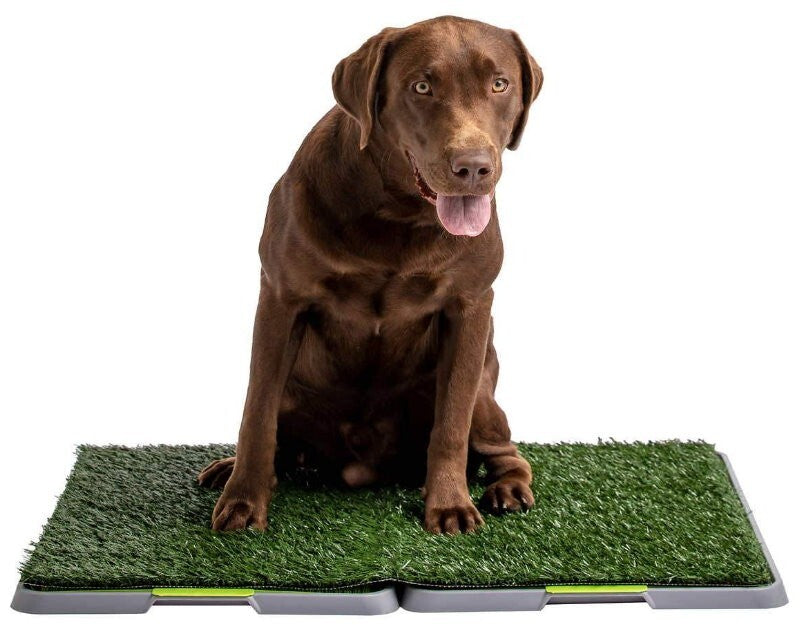 Silver Paw XL Potty Patch Dog Potty Reusable Training Toilet Grass Pee Pad Potty