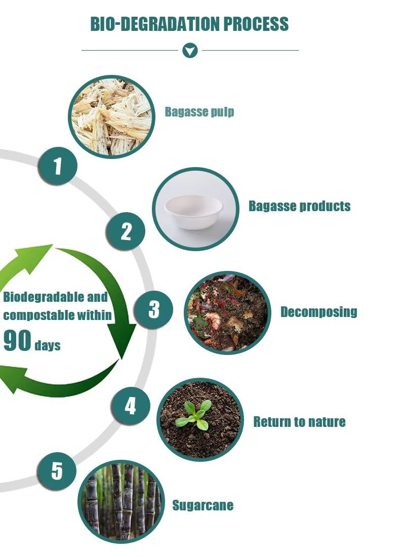 iECO 120-Pack 10" (25cm) Compostable Disposable Bagasse Plates Heavy Duty ECO
