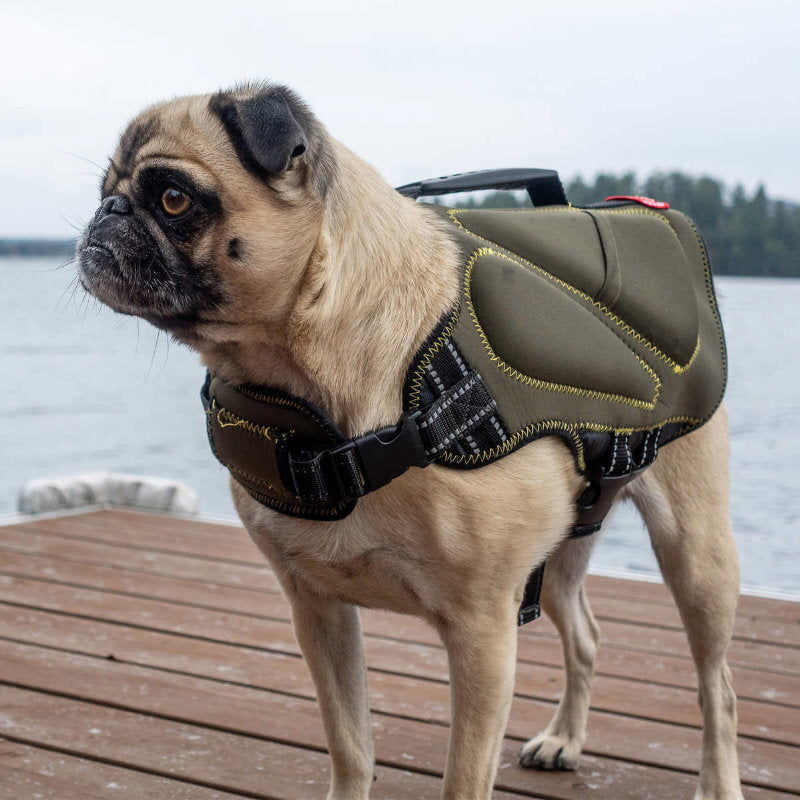 Silver Paw Neoprene Dog Life Jacket Vest with Handle UV Alert Safety Flotation