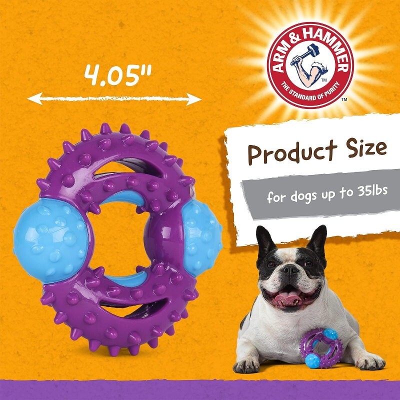 Arm & Hammer 4 Pack Nubbies Dental Chew Toy for Dogs Bone, Orion, TriBone, T-Rex
